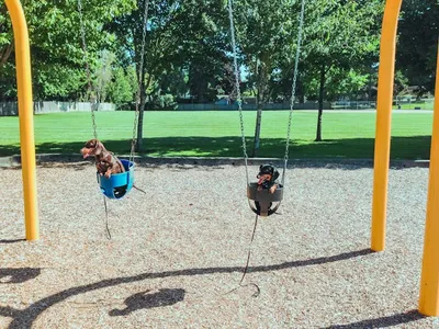 Swings